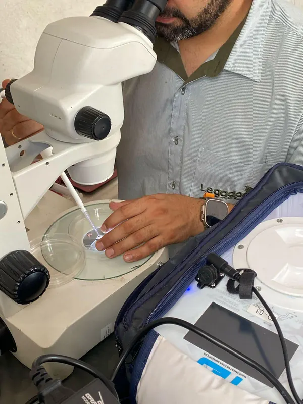 Laboratório de reprodução