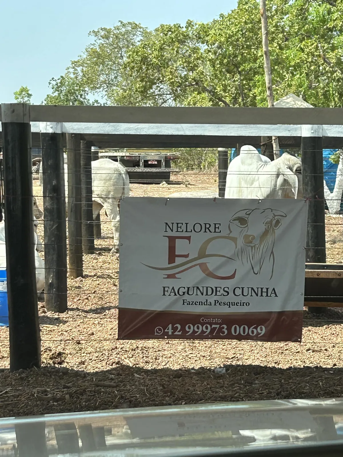 Placa da Nelore Fagundes Cunha na Fazenda Pesqueiro